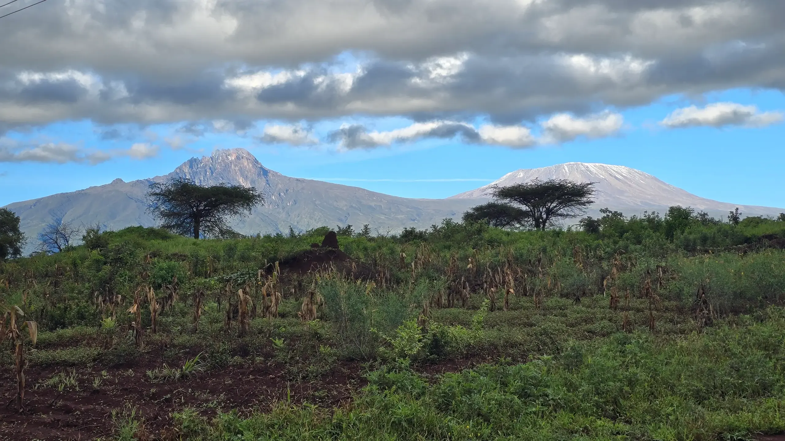 Mount Kilimanjaro rising behind acacia trees and farmland at Illasit